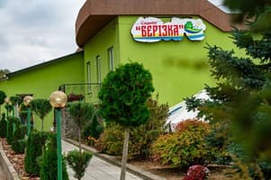 Берізка 1