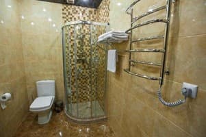 Готельно-ресторанний комплекс Дача. Люкс двомісний  (№14) 6