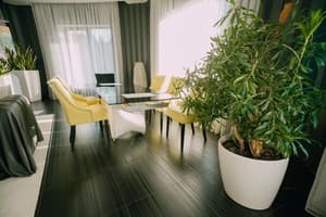 Готельно-ресторанний комплекс Дача. Люкс двомісний президентський 12