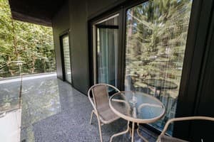 Отель Гостевия. Делюкс двухместный третий корпус 4