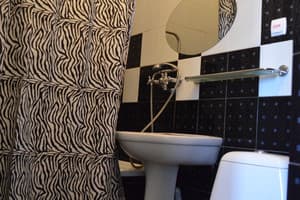 Міні-готель Гостинний Двір. Люкс одномісний з двоспальним ліжком 12
