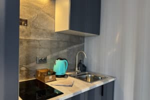Готельно-ресторанний комплекс HIDE PARK HOTEL. Делюкс двомісний  10