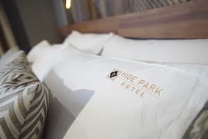 Готельно-ресторанний комплекс HIDE PARK HOTEL. Делюкс тримісний  3