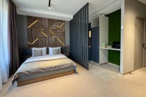 Готельно-ресторанний комплекс HIDE PARK HOTEL. Делюкс тримісний  7