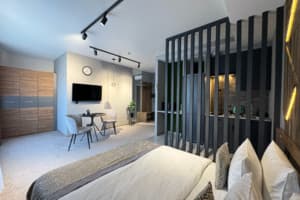 Гостинично-ресторанный комплекс Hide Park. Делюкс двухместный  7