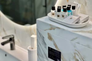 Гостинично-ресторанный комплекс Hide Park. Делюкс трехместный  14