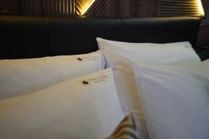 Гостинично-ресторанный комплекс Hide Park. Люкс 4-местный  3