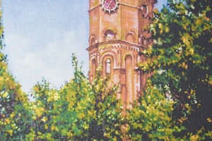 На Пестеля, 11 14