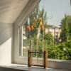 Апарт-готель Trend House Apartments. Апартаменти 4-місний №19 14